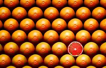 many rows of whole grapefruits with one sliced grapefruit