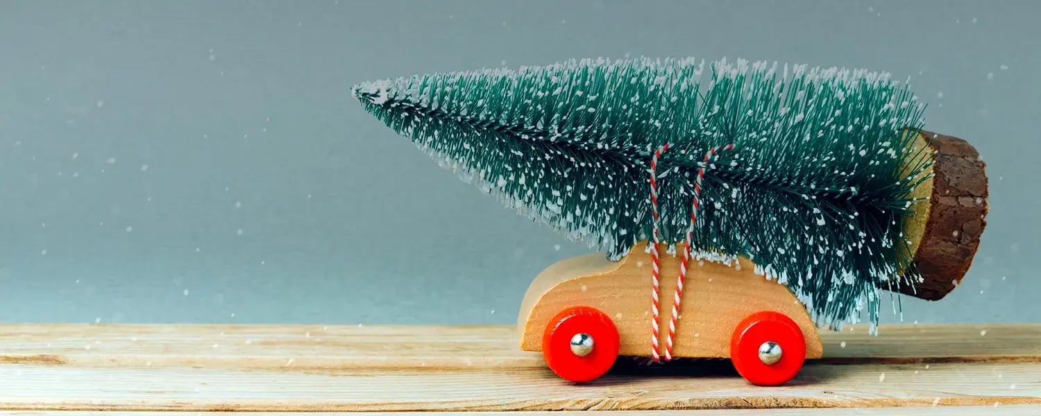 Toy car with a tree on the roof