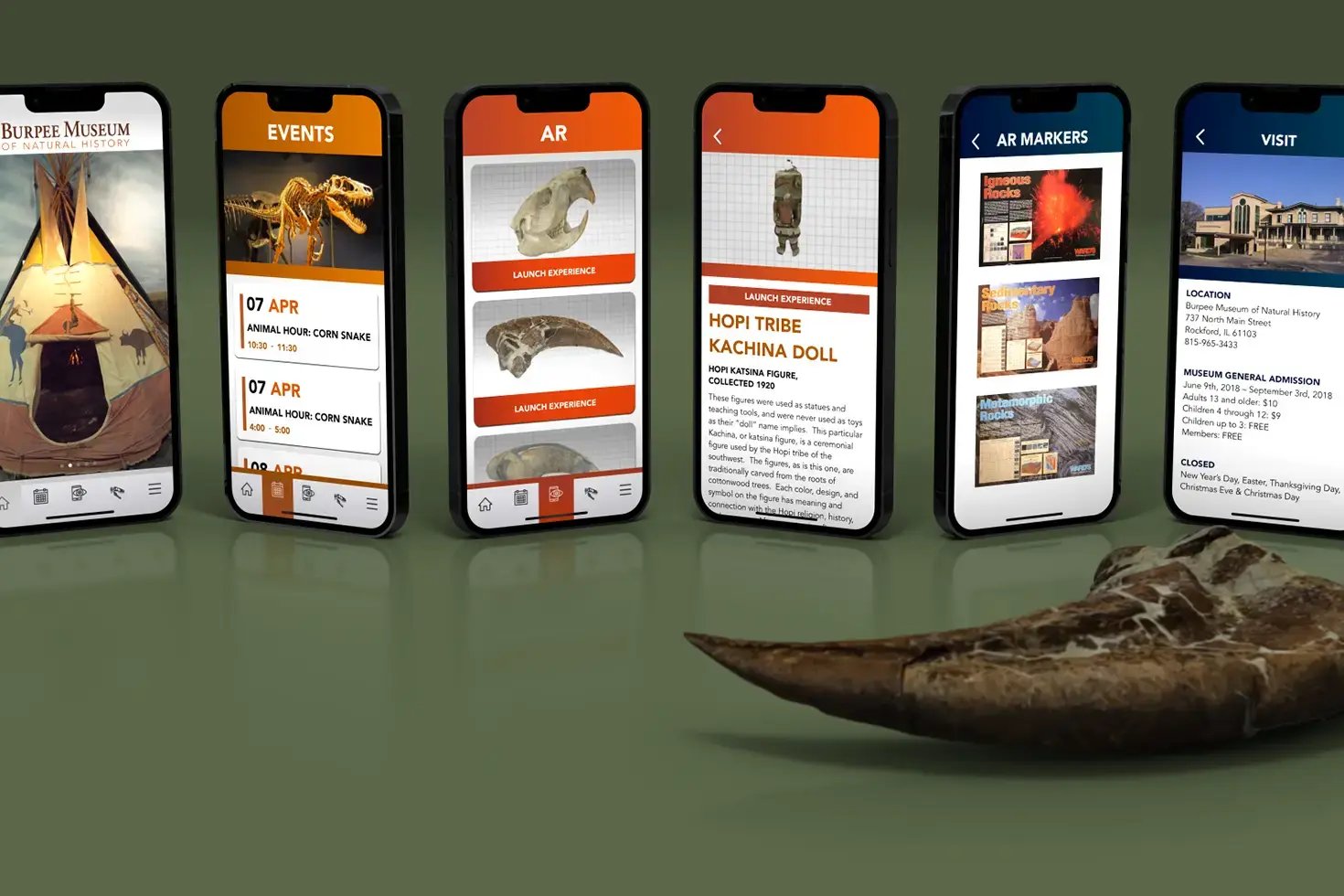 Burpee Museum App Design