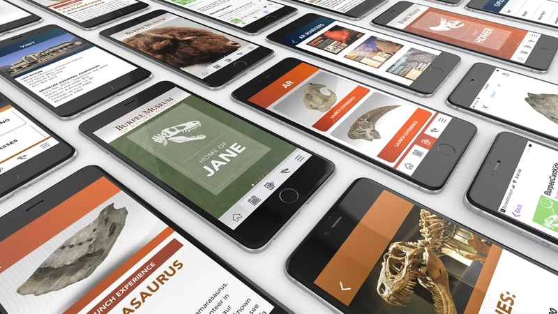Burpee app