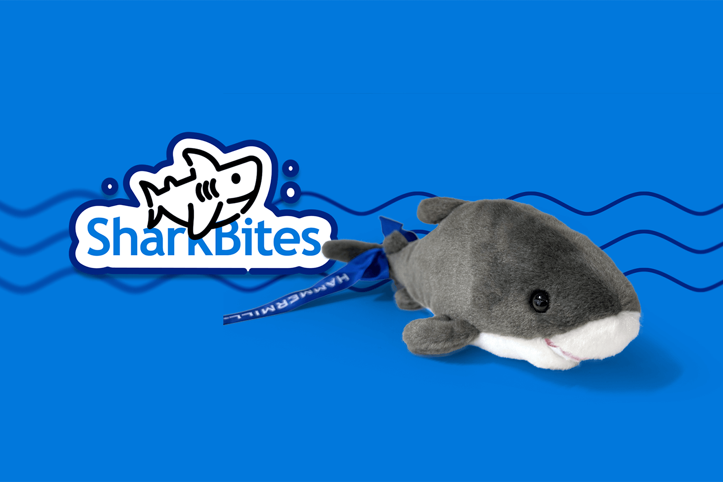 1470x980_SharkBites-2 1470x980_SharkBites-2