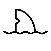 Shark Fin Shark Fin