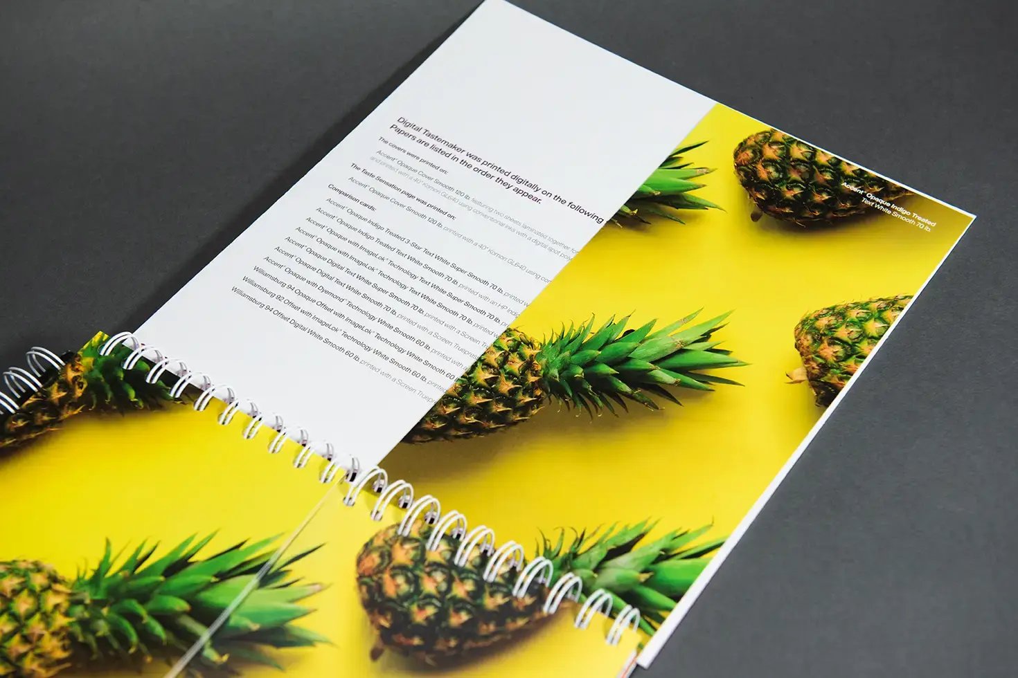 Pineapple Comparison in the Digital Flipbook