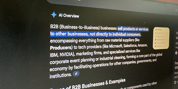 Google AI search overview