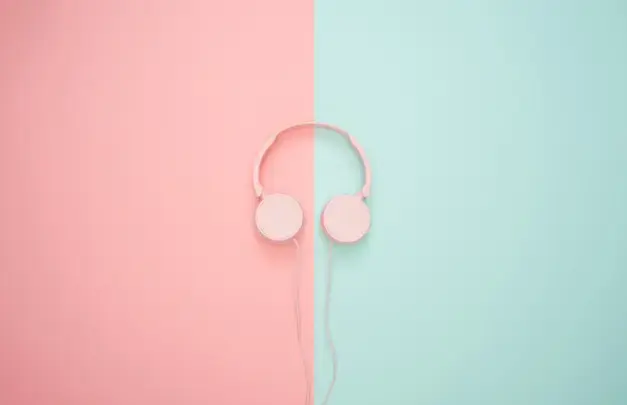 A pair of headphones