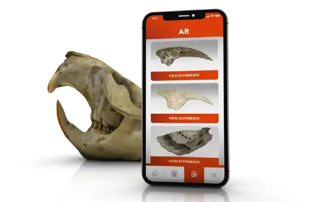 An animal skull next to a phone with an AR app on screen