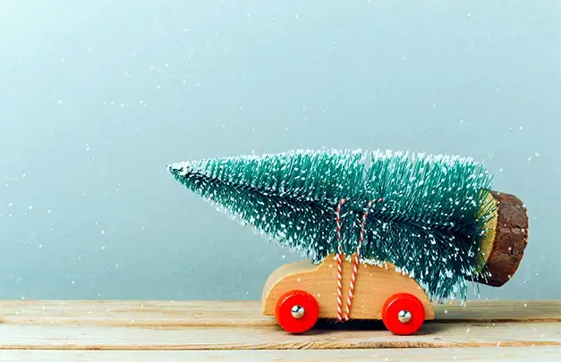 Toy car with a tree on the roof